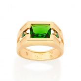 REF 513078 ANEL ROMMANEL